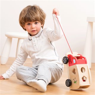 Shape sorting truck